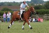 UKPA  NC Sat_1180